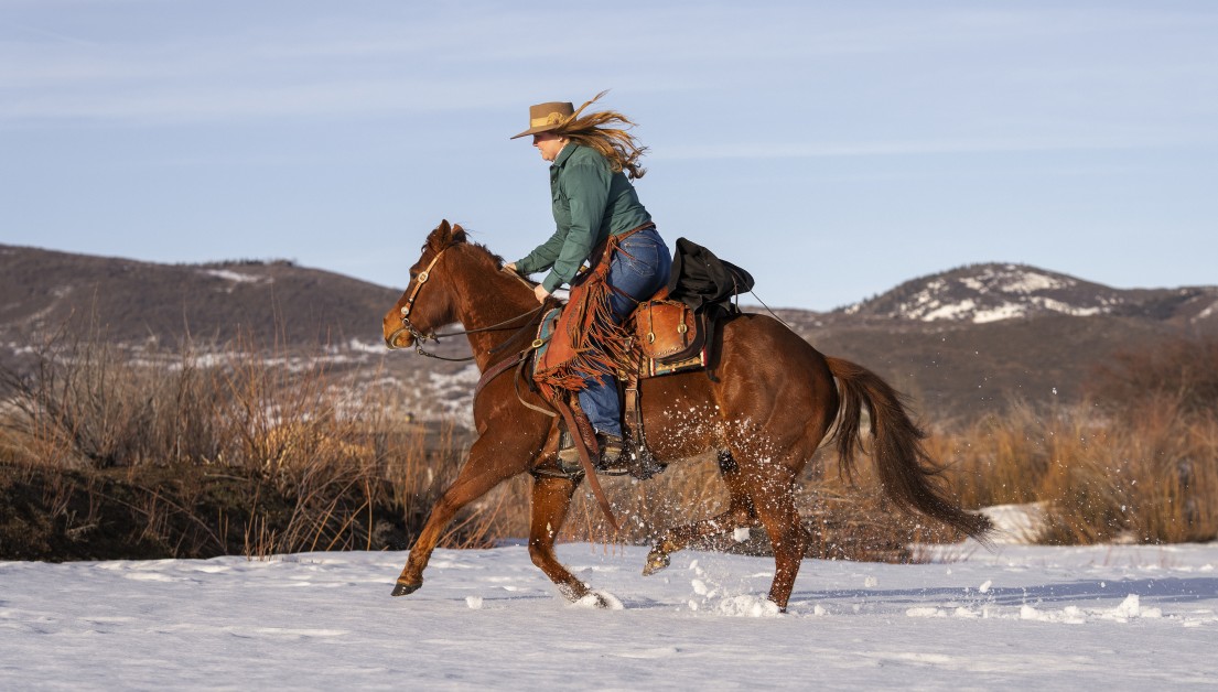 Tips on Exercising Your Horse in Winter